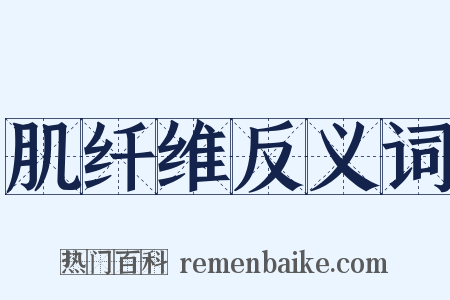 肌纤维反义词是什么意思的图片